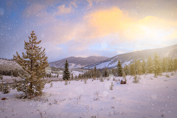 Snowflake flurries falling on Rocky Mountain landscape in Colorado at sunset with evergreen trees on slopes while it is snowing