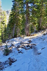 Red Pine Lake Trail mountain landscape scenic towards White Baldy and Pfeifferhorn hiking trail in Little Cottonwood Canyon, Wasatch Rocky mountain Range, Utah, United States.