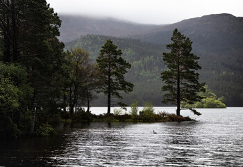 Scottish Loch in the Cairngorms