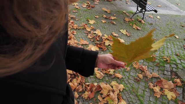 Girl grabbing a autumn leaf, 4k