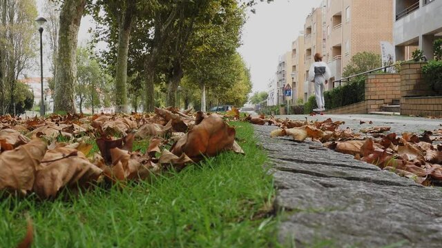 Girl skating in the street autumn  4k