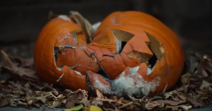Medium time-lapse of a mold covered jack-o-lantern as it collapses. Leaves twitch and light flickers as the day passes.