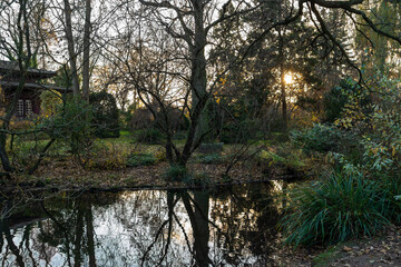 Natur Landschaft mit Bäumen und See