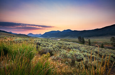 Yellowstone’s Lamar Valley just before sunrise on a Summer morning