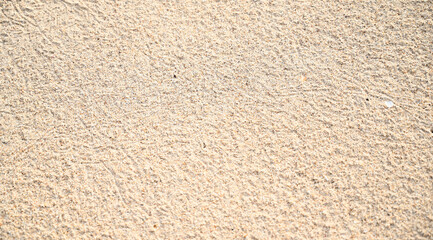 texture Sandy Beach for Background