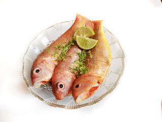Close up view of fresh ready to cook whole cleaned pink perch fish decorated on a glass bowl with lemon slice and herbs.white background,selective focus.