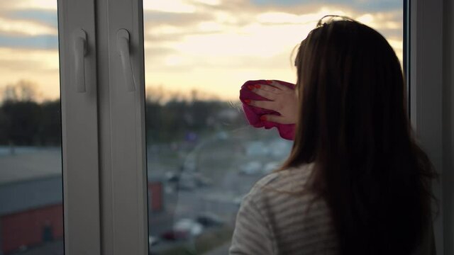 woman washes the window at home in the evening at sunset