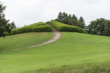 Obraz premium 公園の風景 茨城県 古河市 総合公園 