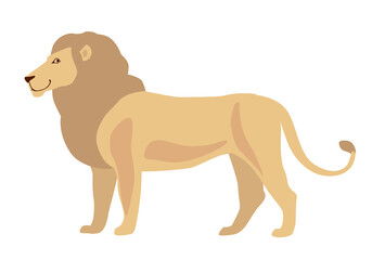 African lion. Vector drawing on a white background. Isolate