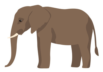 African wild elephant. Vector illustration. Isolate