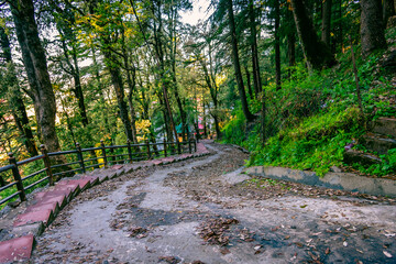 View enroute to Jakhoo temple hiking trail through oak & pine trees at Shimla, Himachal Pradesh,...