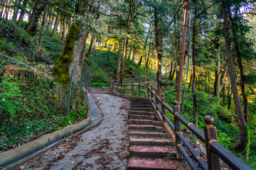 View enroute to Jakhoo temple hiking trail through oak & pine trees at Shimla, Himachal Pradesh,...