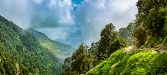 Fototapeta na wymiar View enroute to Triund hiking trail through lush green landscape at Mcleodganj, Dharamsala, Himachal Pradesh, India. Triund hill top offers view of himalyan peaks of Dhauladhar range.