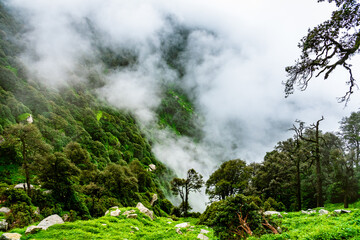Fototapeta na wymiar Forested mountain slope with the evergreen conifers shrouded in mist in a scenic landscape view at Mcleod ganj, Himachal Pradesh, India.