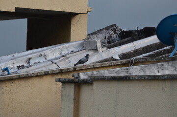 Arquitectura y puentes