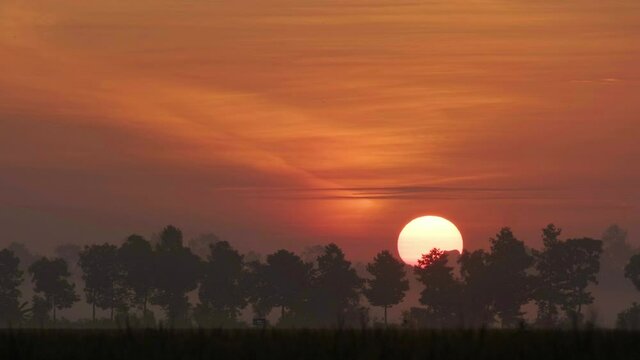 Beautiful clear big sunrise sunset. Royalty high-quality free stock 4k footage of big red hot sun in warm air. Awesome landscape of sky and silhouette of forest on the horizon. Amazing sunrise sunset