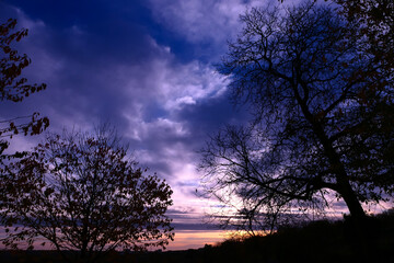 Fototapeta na wymiar Silhouette of branch of tree at sunrise. Autumn or winter scene with dramatic sky with clouds.