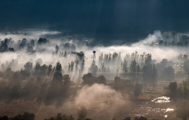 Fog covered Forest floor and city The shining light contrasts beautifully.
