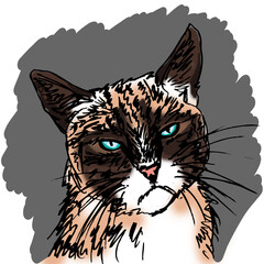Cranky Cat Digital Painting