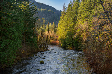 The Salmon river Oregon wilderness landscape.