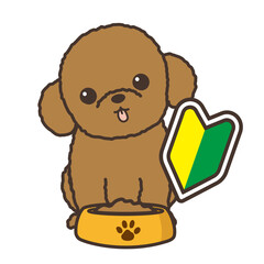 犬を飼う初心者為のイラスト　トイプードルと初心者マーク