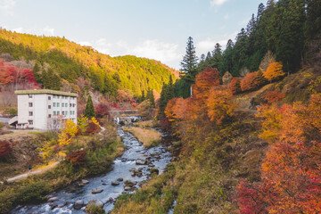 Fototapeta na wymiar 日本の紅葉と川