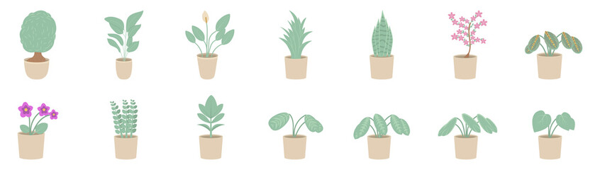 Vector illustration of indoor plants in a pot. Houseplants isolated on white background.