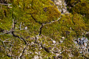wallpaper, manufacturing, decoration, land, mineral, floor, clusters, botany, pebble, artificial, aggregate, earth, dirty, construction, geology, macro, mountain, decor, backyard, sandy, dry, fresh, d