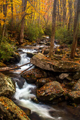Woodland stream in the Great Smoky Mountains National Park at autumn