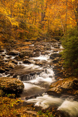 Woodland stream in the Great Smoky Mountains National Park at autumn
