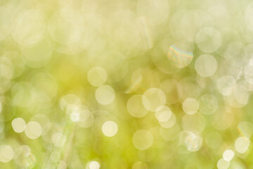 Obraz premium Natural bright orange green bokeh abstract background