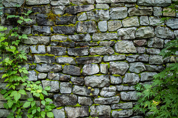 苔の生えている石垣背景素材
