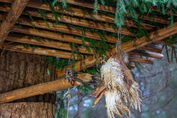 Hunting trap with bait in the forest.