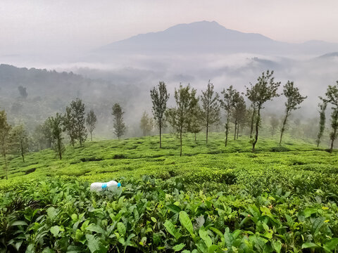 Landscape view of a plastic bottle spoiling and polluting a beautiful site of a valley of tea plantation and a mountain in the background.
