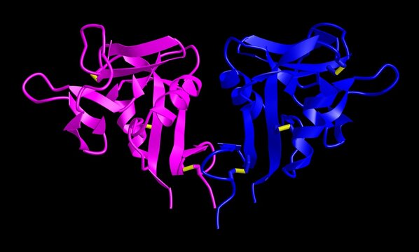 A 3D Cartoon Model Of The Human CD69 Transmembrane C-Type Lectin Protein, Black Background