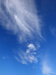 Blue sky with cloud. Sky cloud. 
