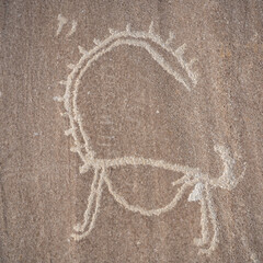 Closeup view of ibex carving on rock: detail of antique silk road era petroglyph above Langar,...