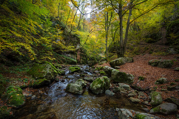 Naklejka na ściany i meble Forest landscape near Fotinovo in Rhodopes Mountain, Pazardzhik region, Bulgaria. Amazing autumn landscape