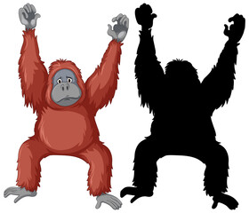 Orangutan characters and its silhouette on white background © GraphicsRF