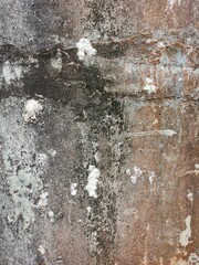 texture of the bark of a tree