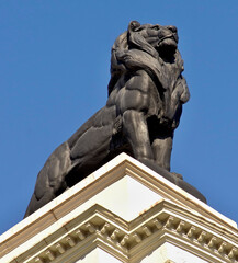Fototapeta na wymiar Lion statue on the Generali building in Valencia - Spain 