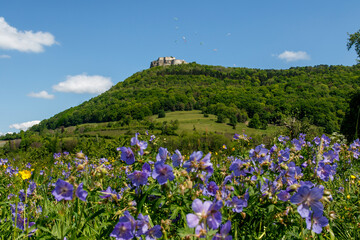 Fototapeta premium Burg Hohenneuffen, Schwäbische Alb, Baden-Württemberg, Deutschland