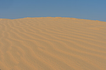 Fototapeta na wymiar sand texture, desert in the Arab Emirates, UAE