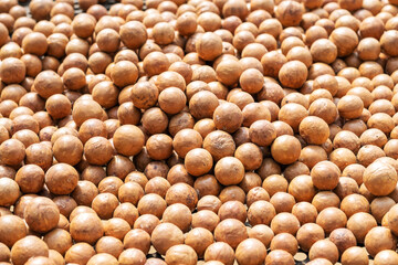 Macadamia nuts dried by sunlight on a tray.