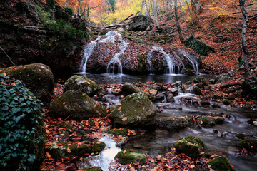 Fototapeta premium Falls in the autumn forest