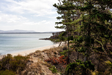 View of the coastline along the Derwent River at Opposum Bay