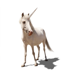 Naklejka na ściany i meble Amazing unicorn with beautiful mane on white background