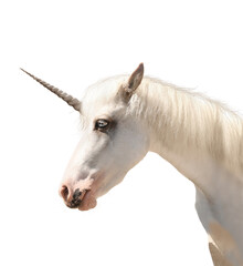Fototapeta na wymiar Amazing unicorn with beautiful mane on white background