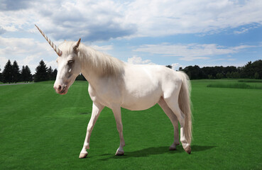 Amazing unicorn with beautiful mane in field