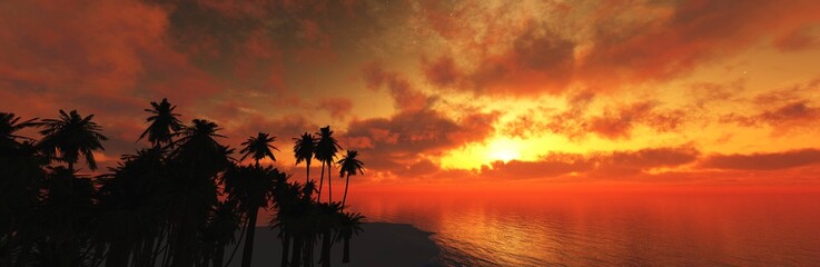 Beach with palm trees at the sea sunset, Silhouettes of palm trees at sunset, banner,